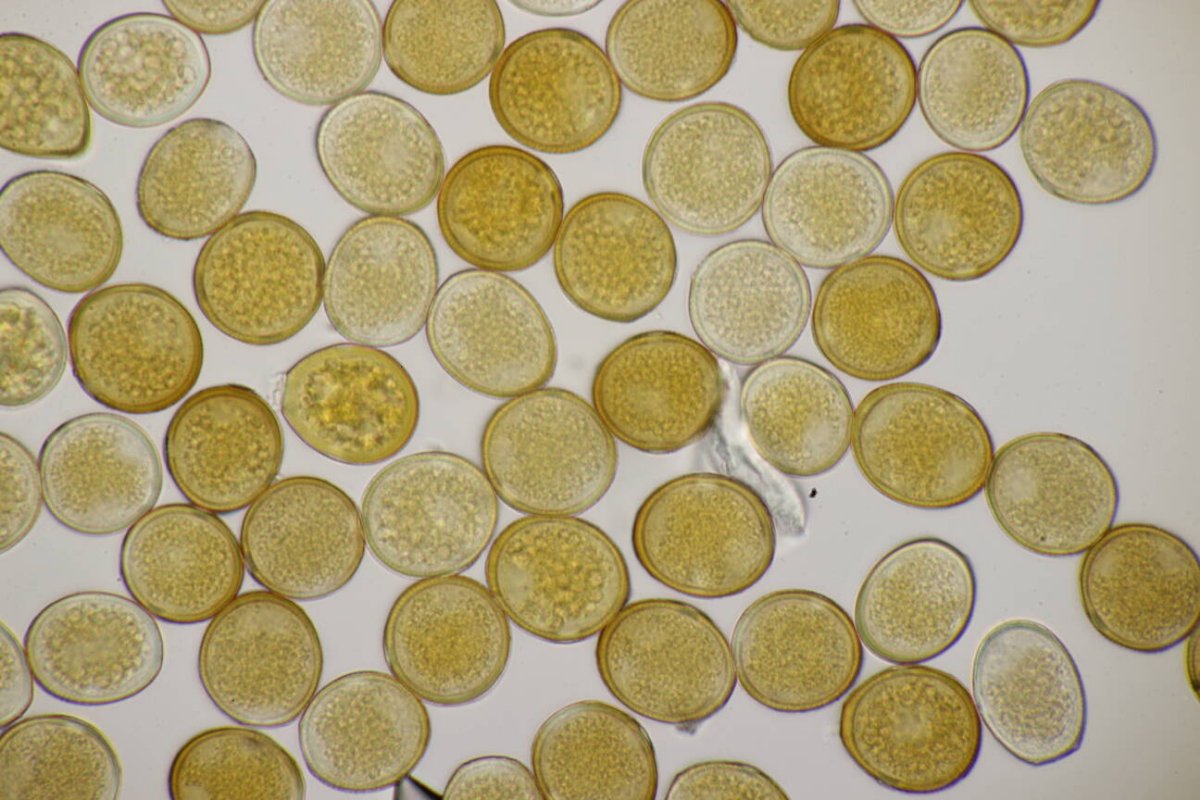 Naturschule Grund-0055.jpg