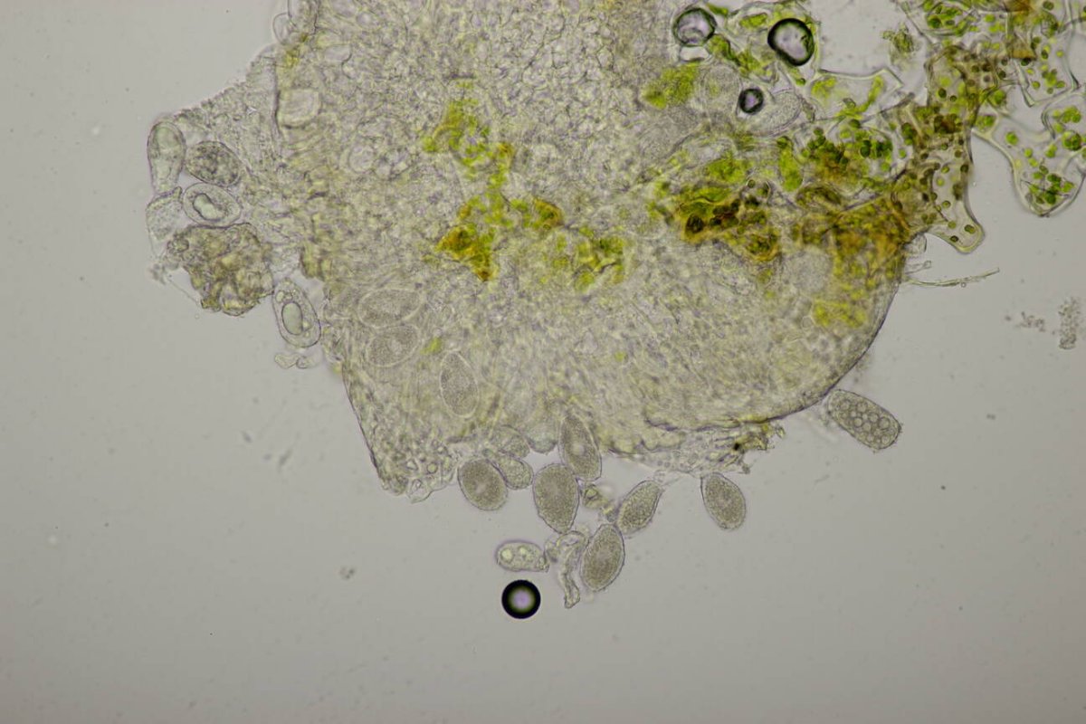 Naturschule Grund-0069.jpg