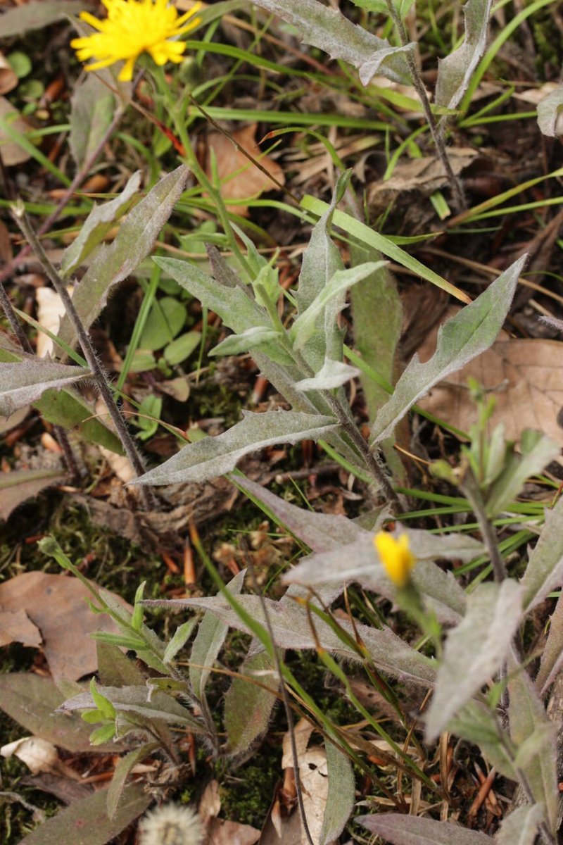 Waldfriedhof Duisburg-0007.jpg