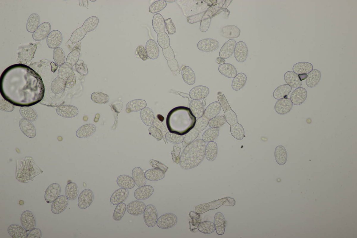 Waldfriedhof Duisburg-0053.jpg