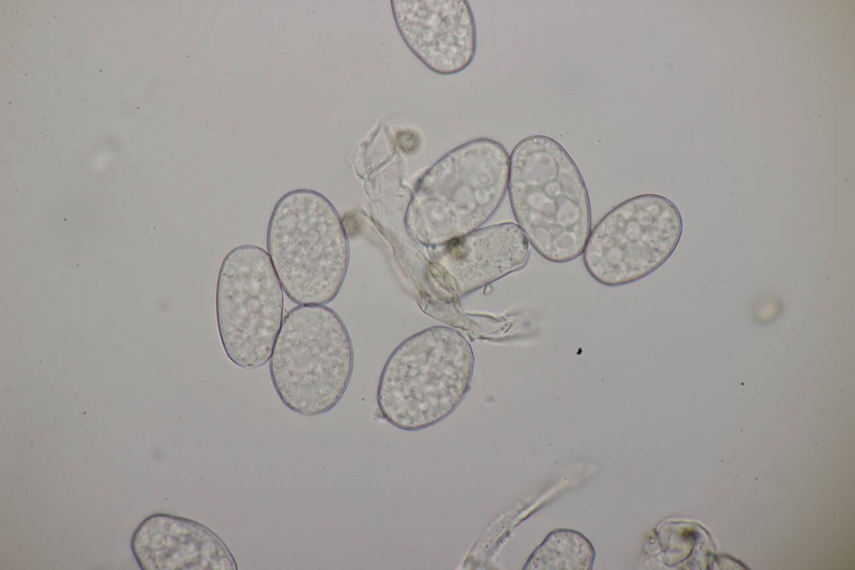 Waldfriedhof Duisburg-0054.jpg