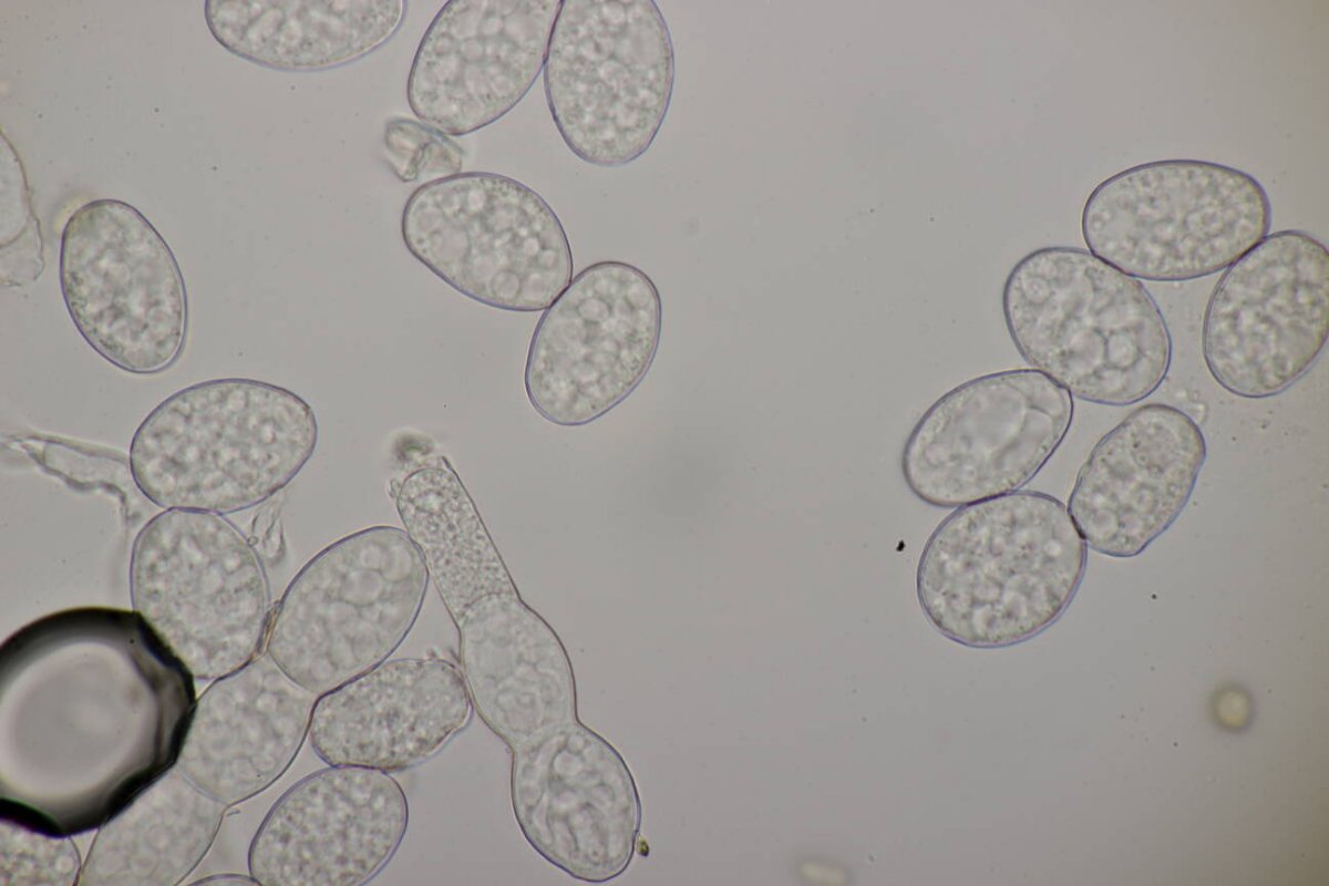 Waldfriedhof Duisburg-0055.jpg