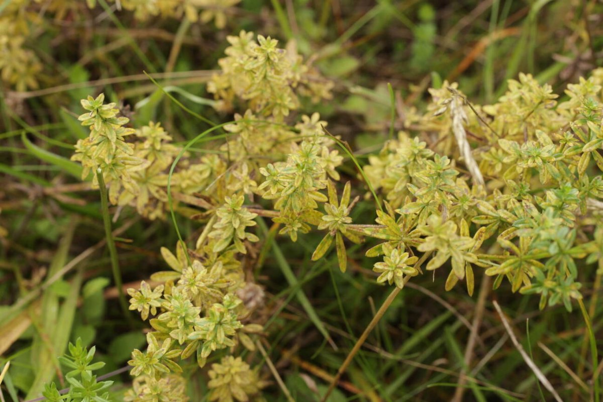 Waldfriedhof Duisburg-0028.jpg