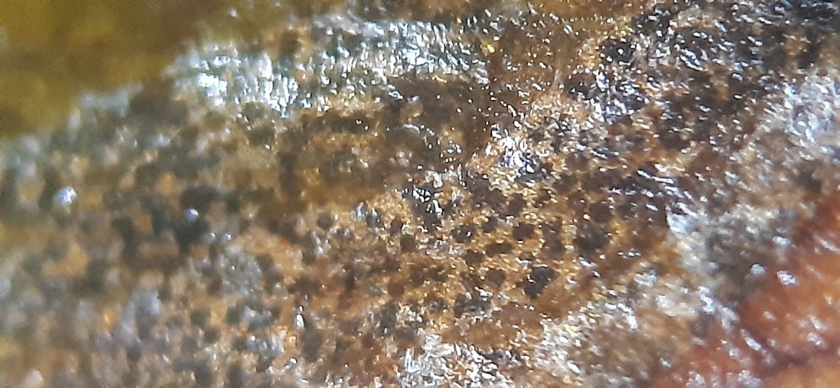 Ein Rand eines Flecken bei ca 20 x