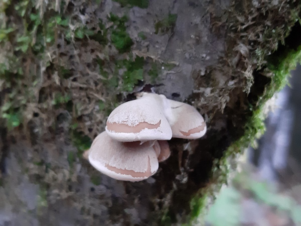 20201207_132105.jpg
