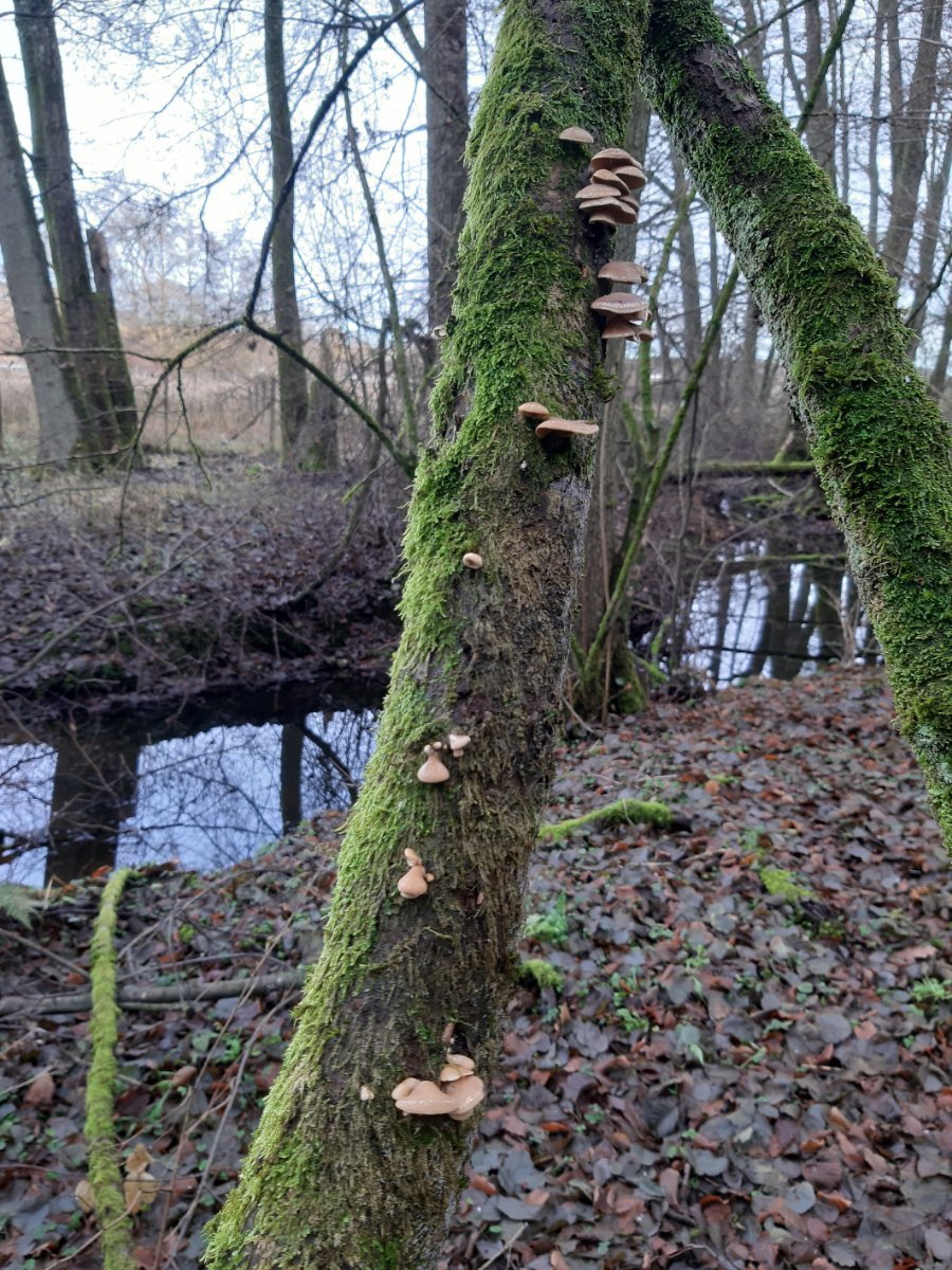 20201214_132506.jpg