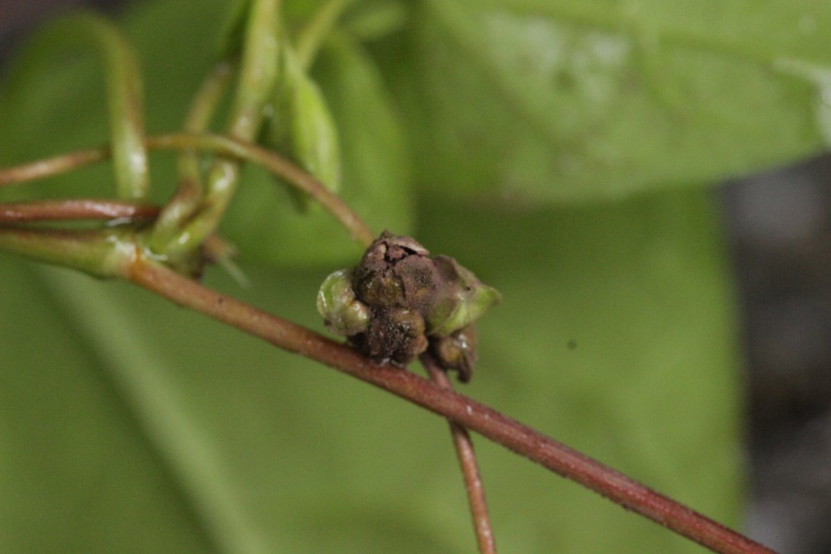 Harpener Bachtal-0005.jpg