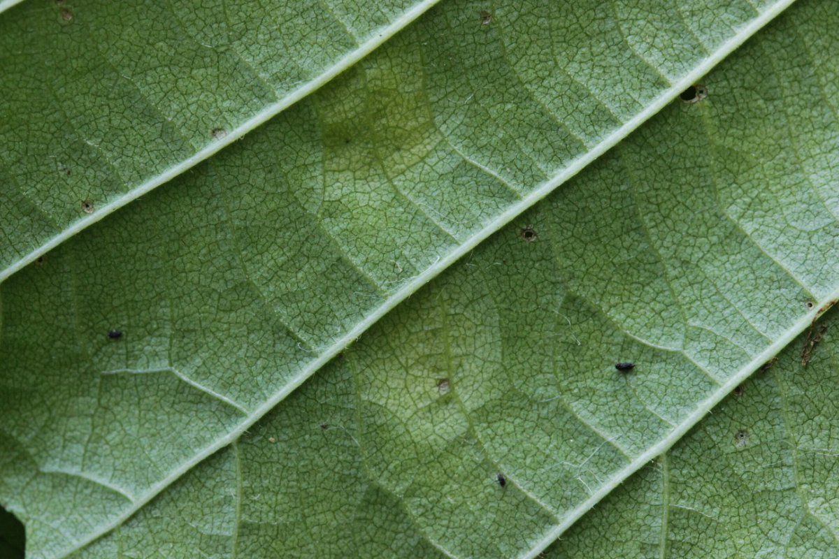 Harpener Bachtal-0010.jpg