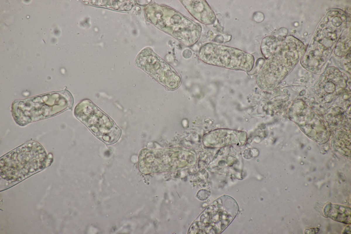 Harpener Bachtal-0043.jpg