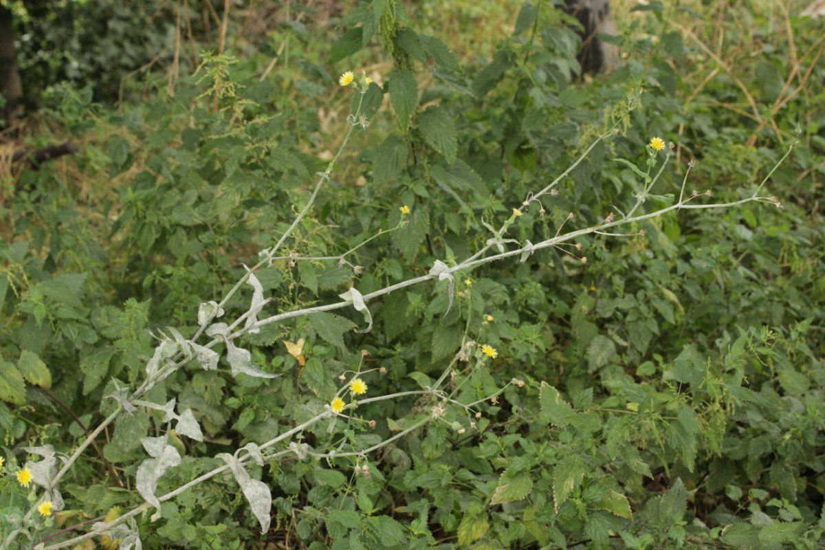 Stadtwald Duisburg-0004.jpg