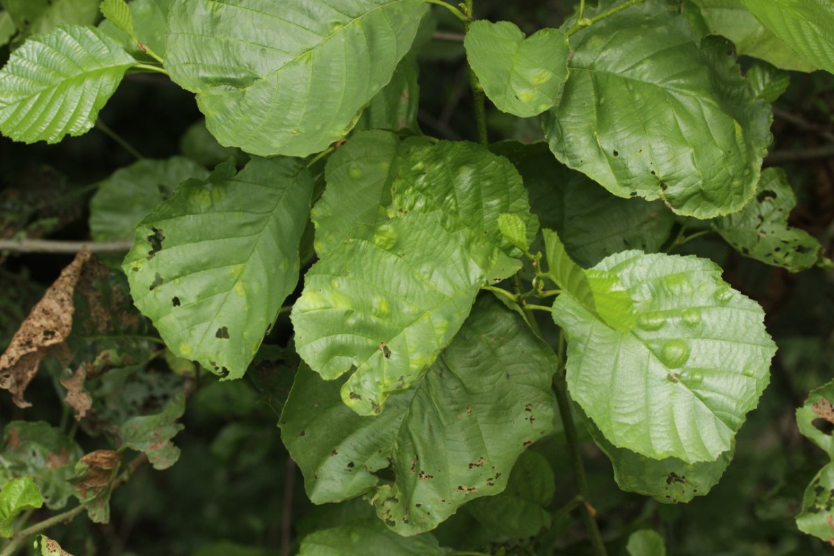 Stadtwald Duisburg-0027.jpg