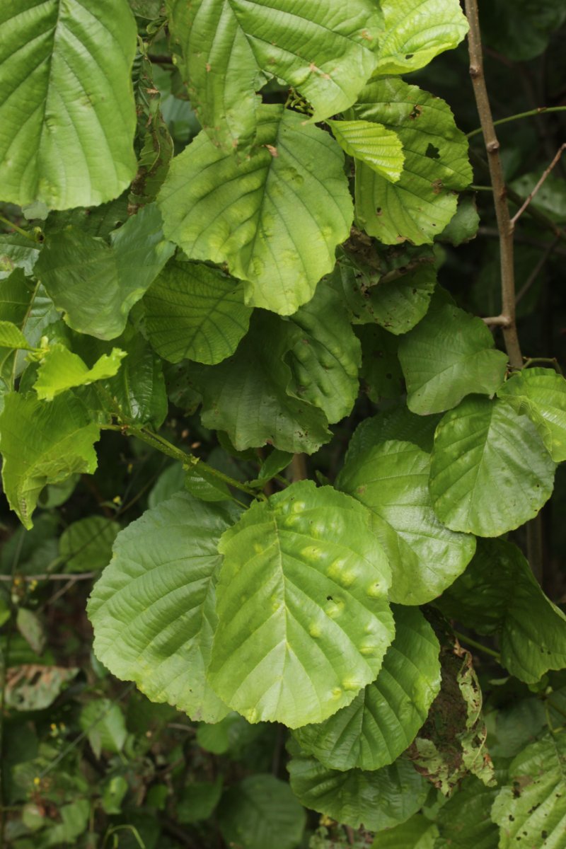 Stadtwald Duisburg-0029.jpg