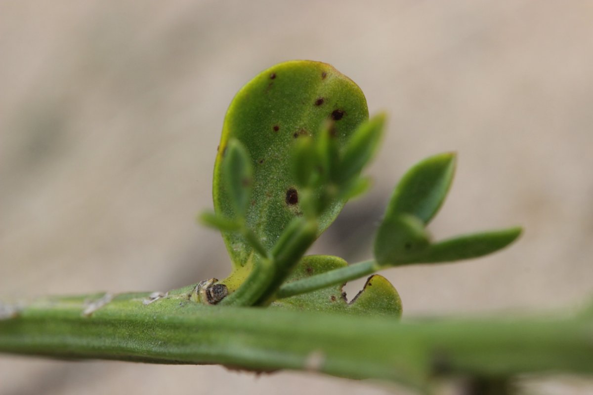 Stadtwald Duisburg-0038.jpg