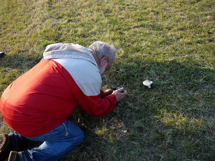 einige Mykologen waren  vor Ort