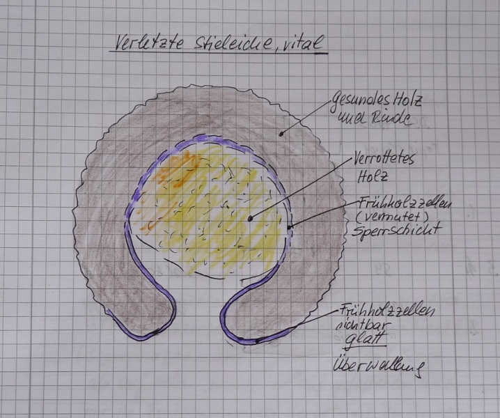 P1000758Überwallung Skizze.JPG