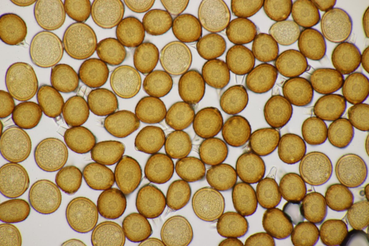 Zeche Zollverein-0091.JPG