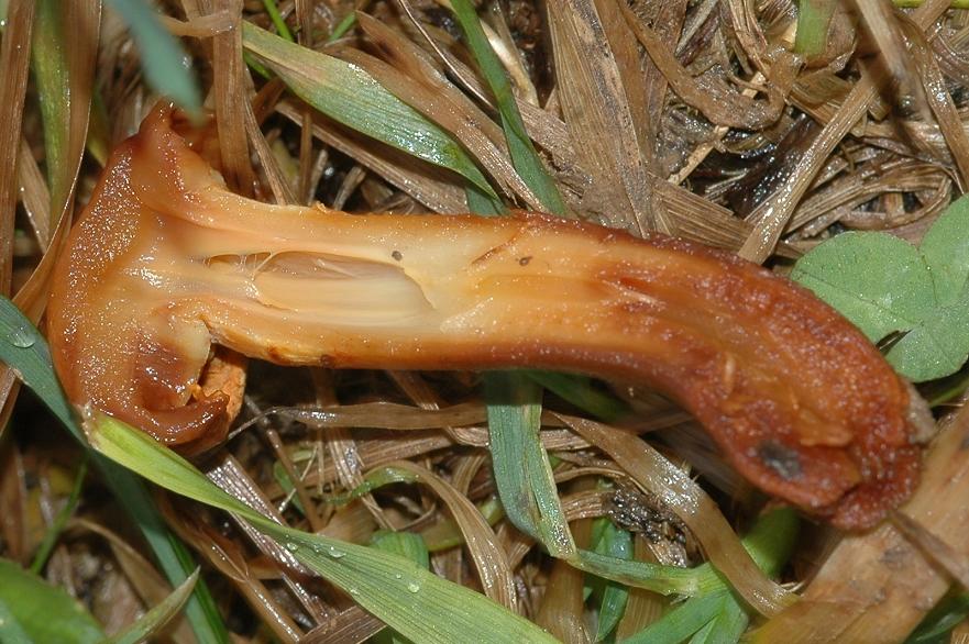 DSC_4260 Ausschnitt 55 %.JPG