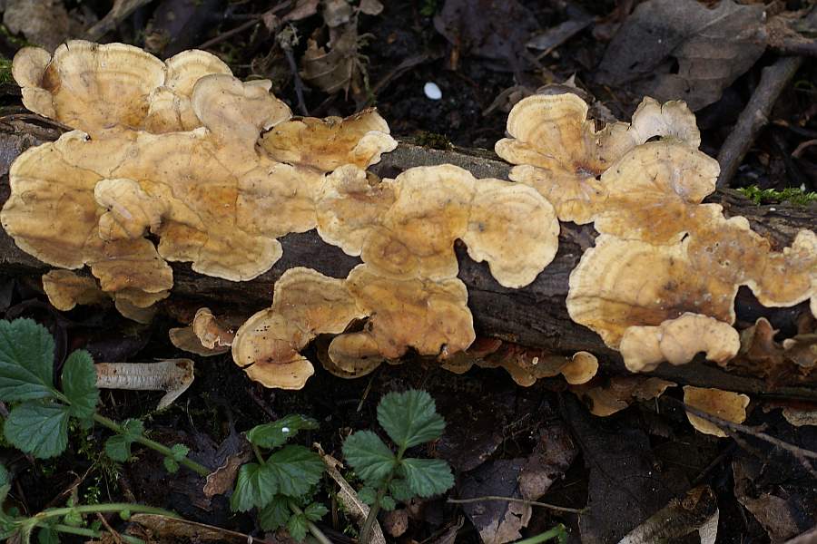 Bild 1: Gesamtansicht