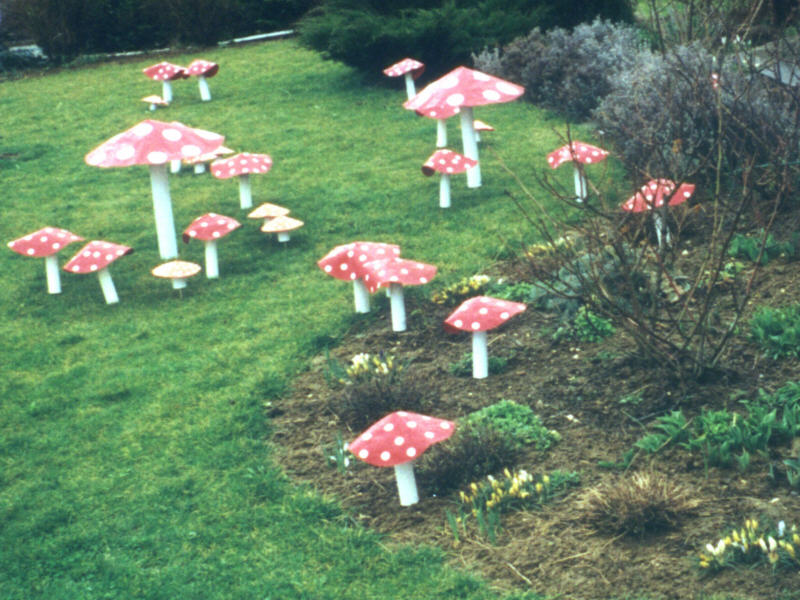 Amanita muscaria var. verna