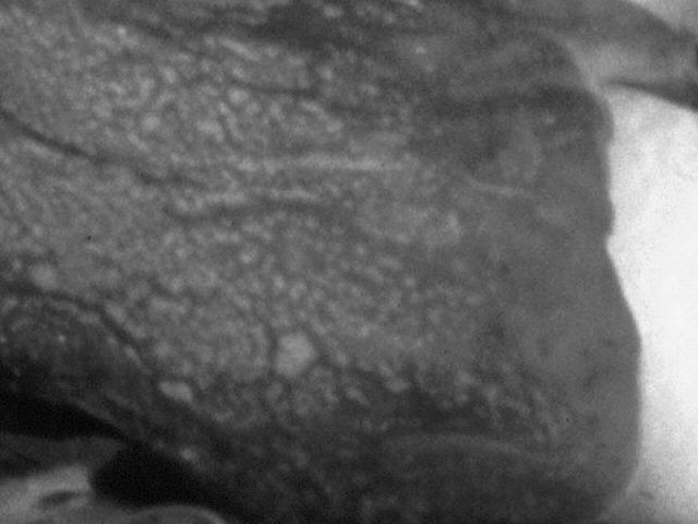 2Dia07_316_Detail_sw.jpg