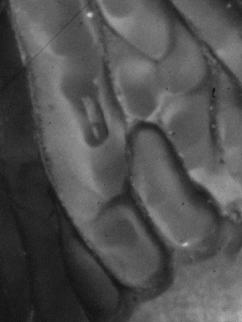 2Dia07_310_Detail_sw.jpg