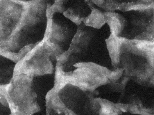 2Dia07_309_Detail_sw.jpg