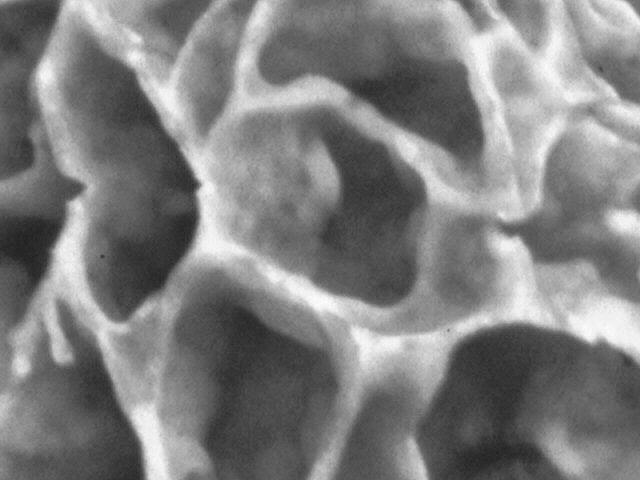 2Dia07_305_Detail_sw.jpg