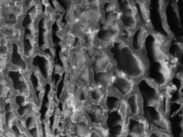 2Dia07_302_Detail_sw.jpg