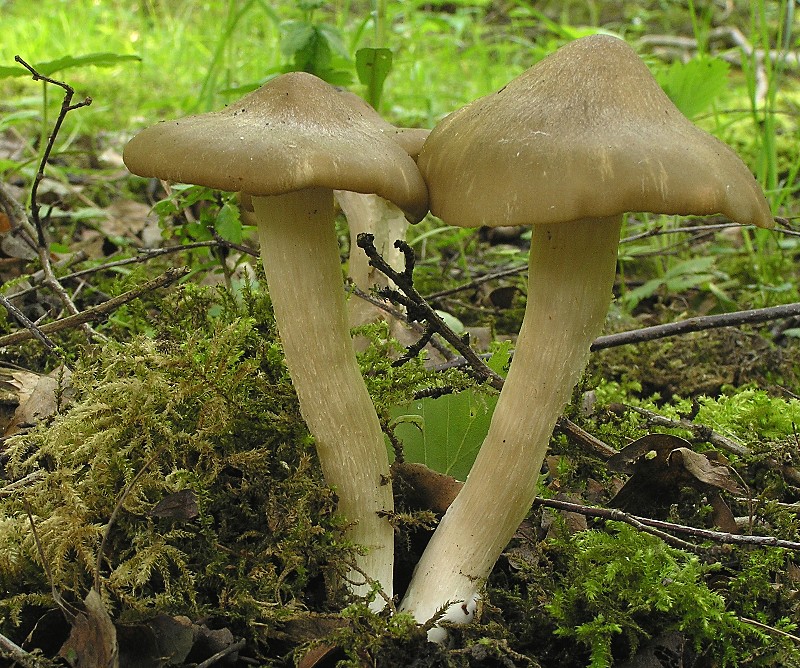 Kopie von P1010039.JPG