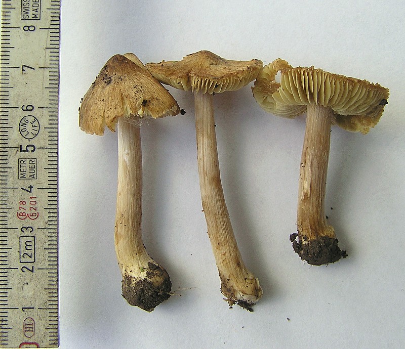 Kopie von P1010043.JPG