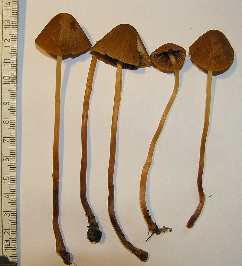 Kopie von P1010030.JPG