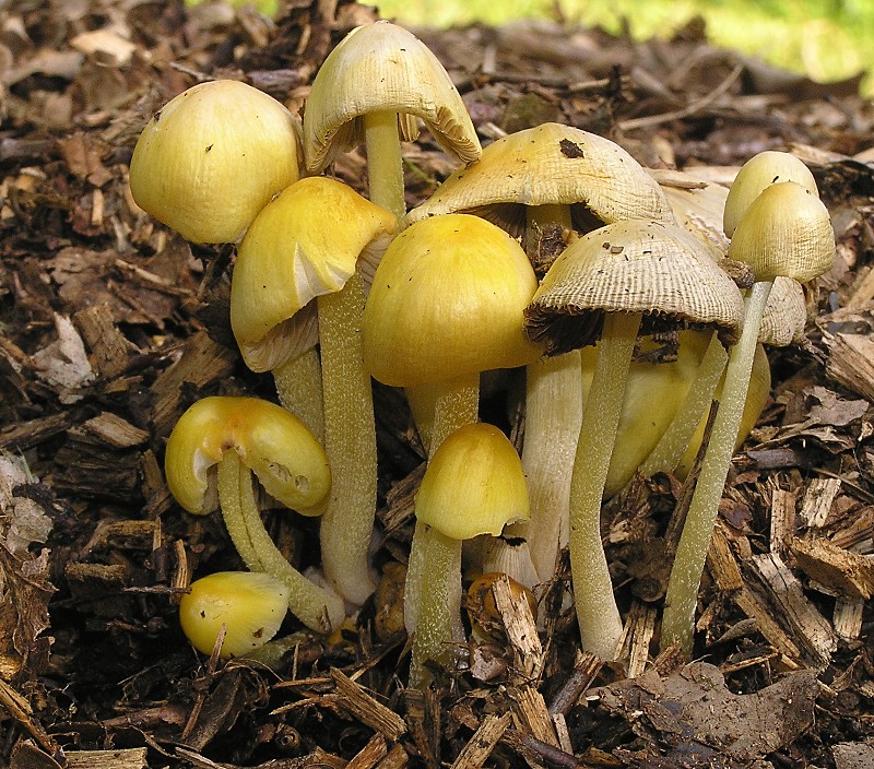 Kopie von P1010005.JPG