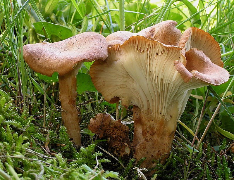 Kopie von P1010008.JPG