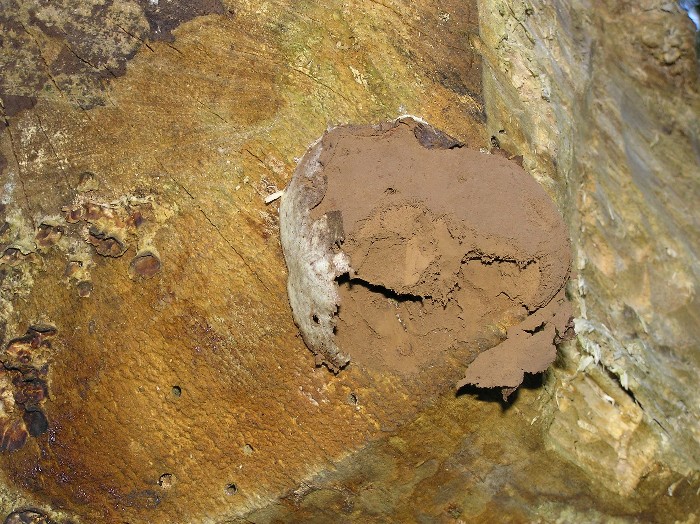 Kopie von P1010051.JPG