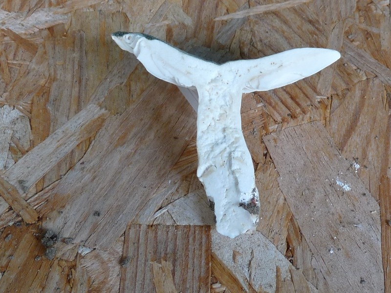 P1010394 scal 800 .JPG