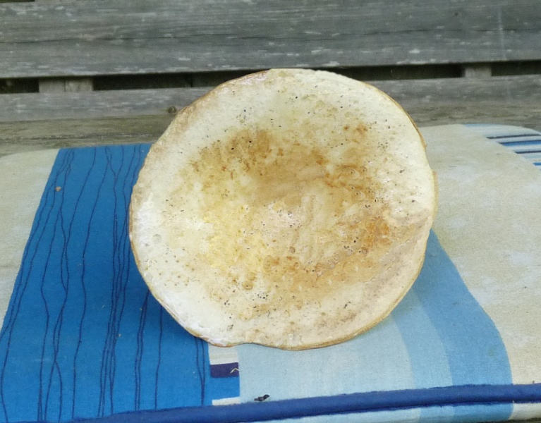 P1010777 scal 767 bearb .JPG