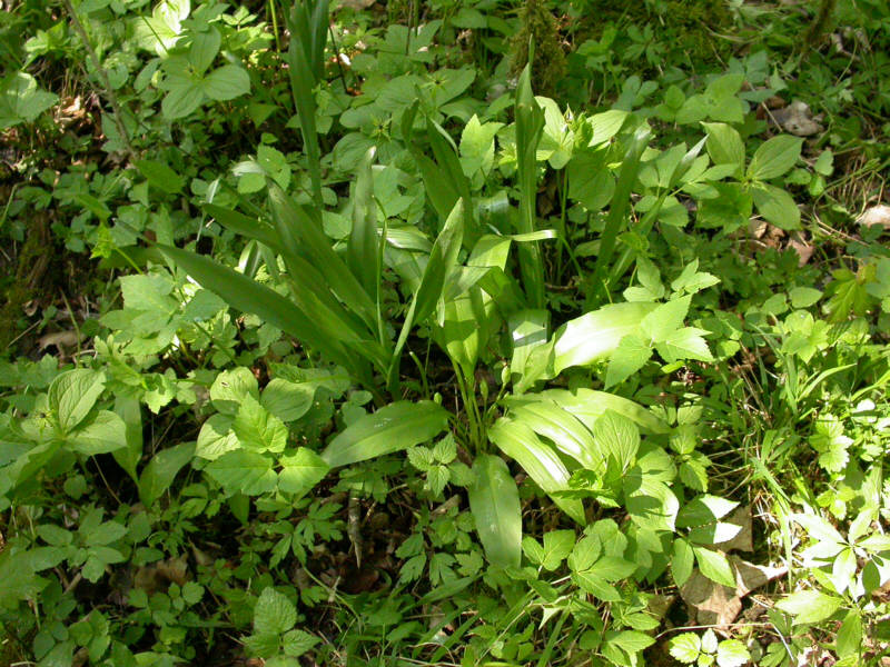 DSCN3159_g.jpg