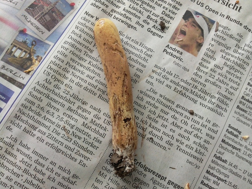 Lux 2010 Herkulesskeule.jpg