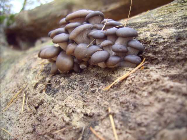 klein und schön.jpg