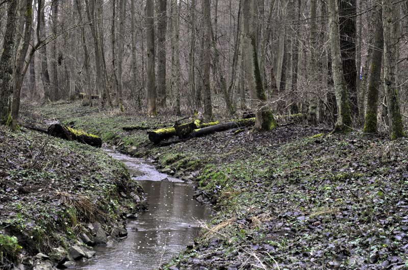 Im-Aschbachtal.jpg