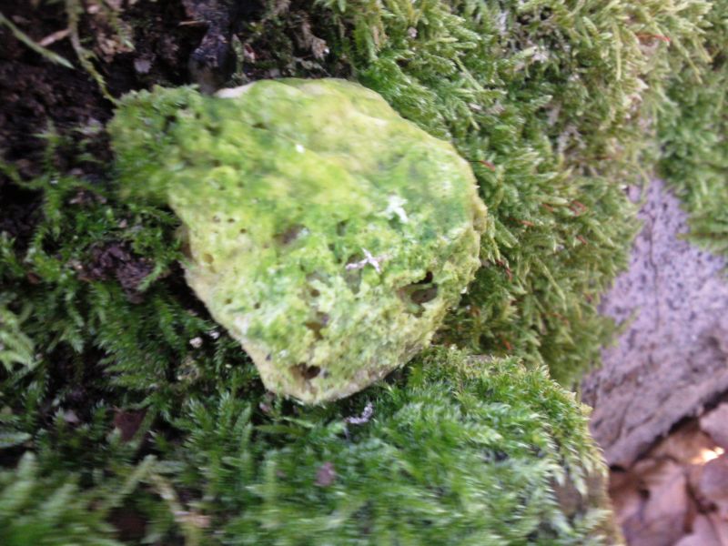 16.01.11-8a Forum.jpg