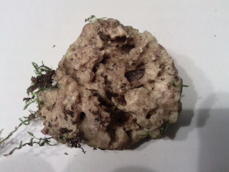 16.01.11-8c Forum.jpg