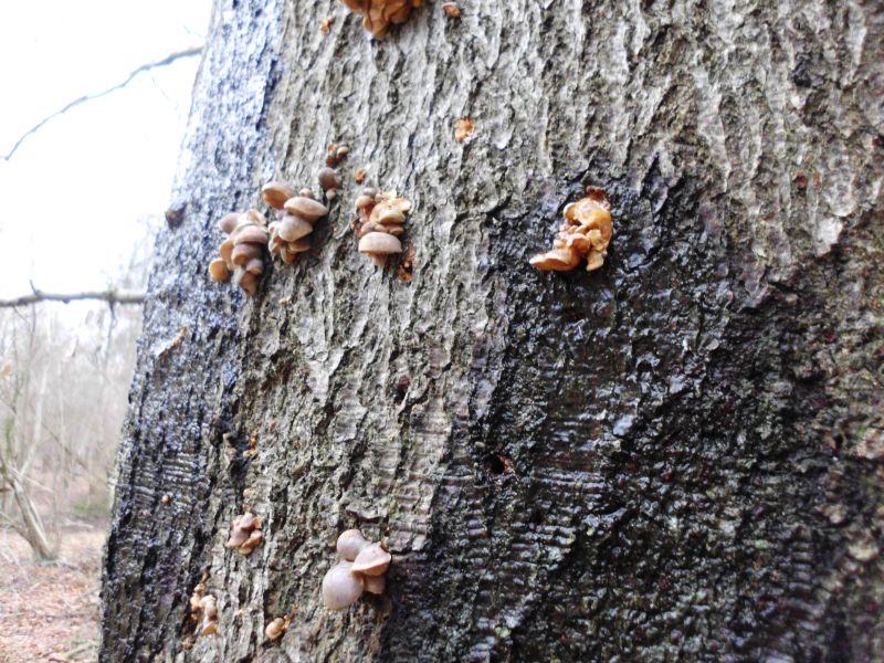 das könnte was werden...