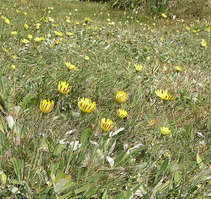 Kopie von Kopie von P1010425.JPG