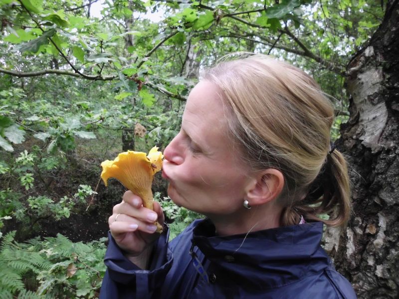 nicht jeder Pilz wird von meiner Schwester so begrüßt!