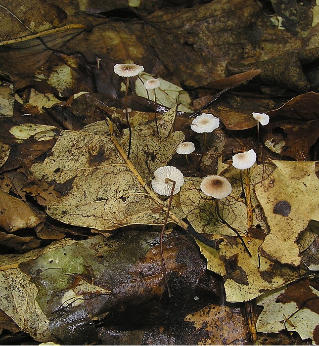 Kopie von P1010697.JPG