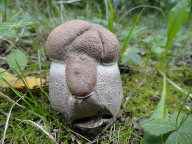 DSC02460 (640x480).jpg