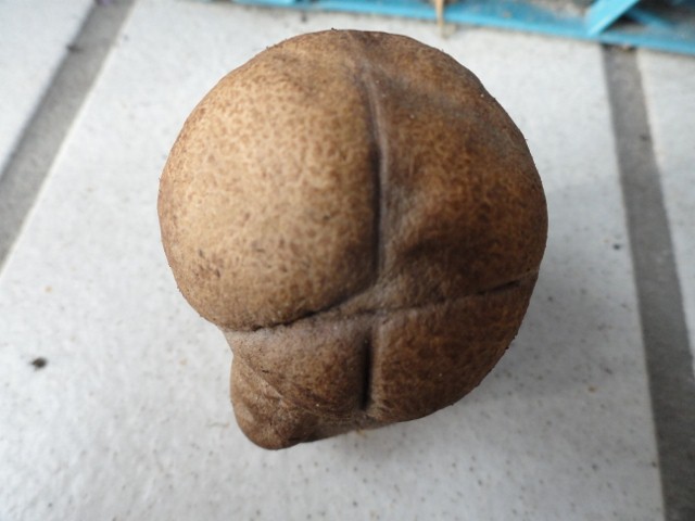 DSC02462 (640x480).jpg