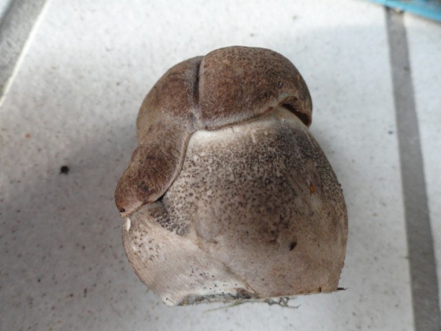 DSC02463 (640x480).jpg