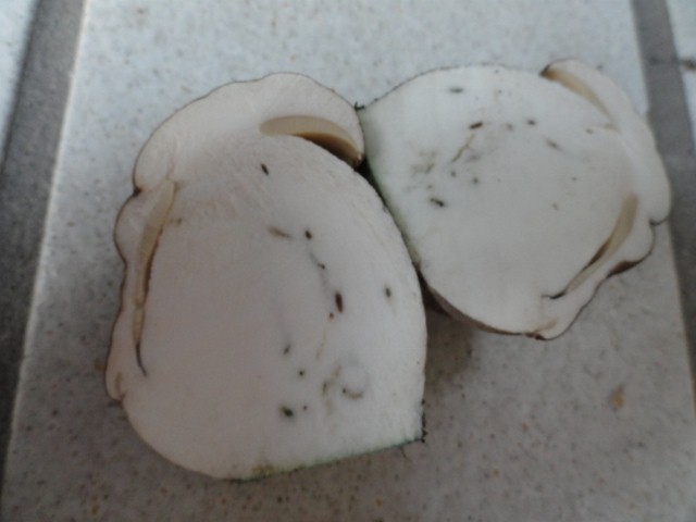 DSC02464 (640x480).jpg